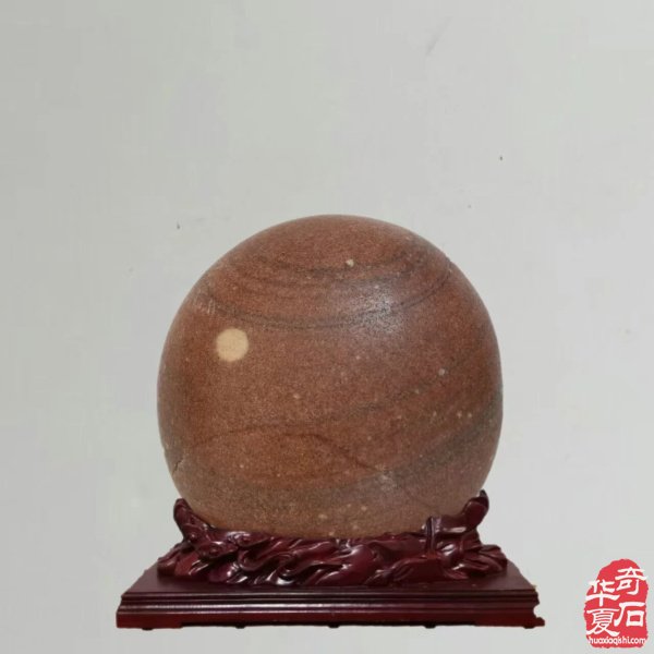 赏石人以独特的方式中秋赏月