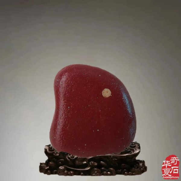 赏石人以独特的方式中秋赏月