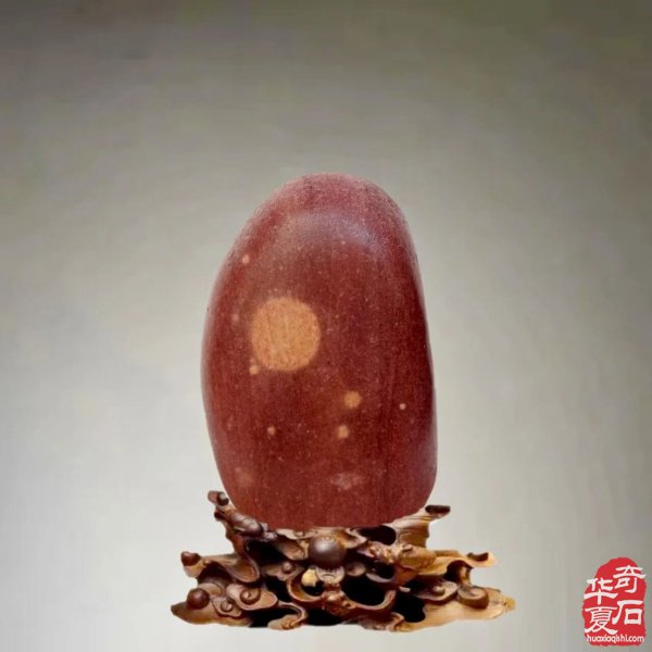 赏石人以独特的方式中秋赏月