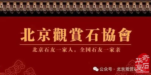 石种推荐｜神奇天雕云锦石 图
