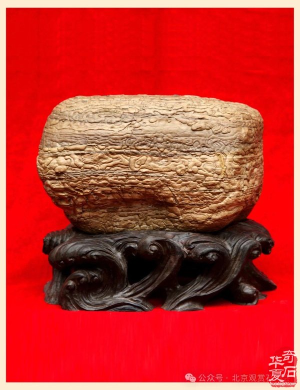 石种推荐|神奇天雕云锦石 图