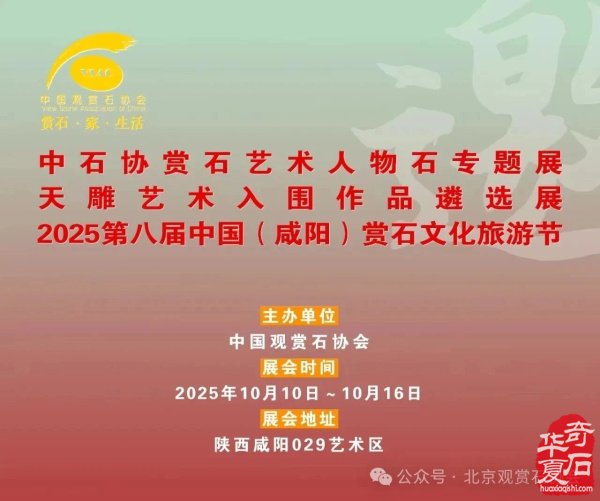 石种推荐|神奇天雕云锦石 图