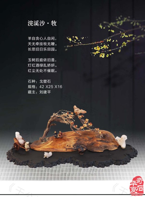 《于公赏石》带你领略藏家的美石 图