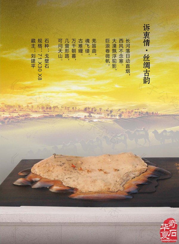 《于公赏石》带你领略藏家的美石 图