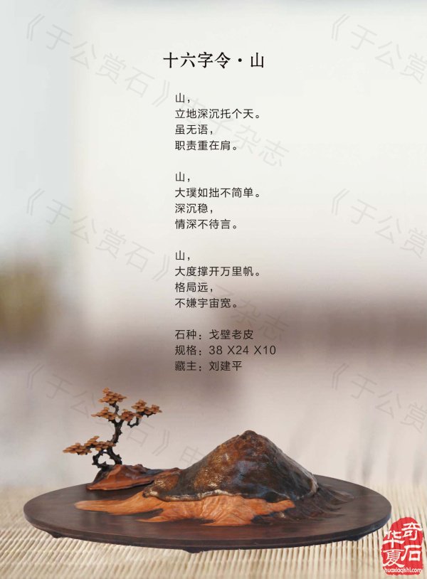 《于公赏石》带你领略藏家的美石 图