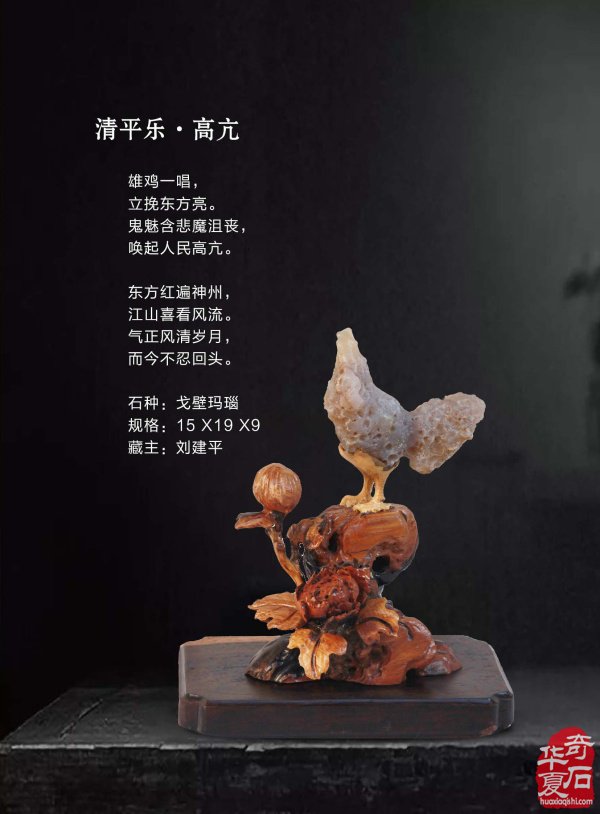 《于公赏石》带你领略藏家的美石 图