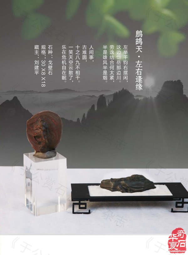 《于公赏石》带你领略藏家的美石 图