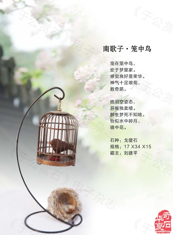 《于公赏石》带你领略藏家的美石 图