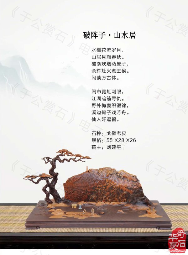 《于公赏石》带你领略藏家的美石 图