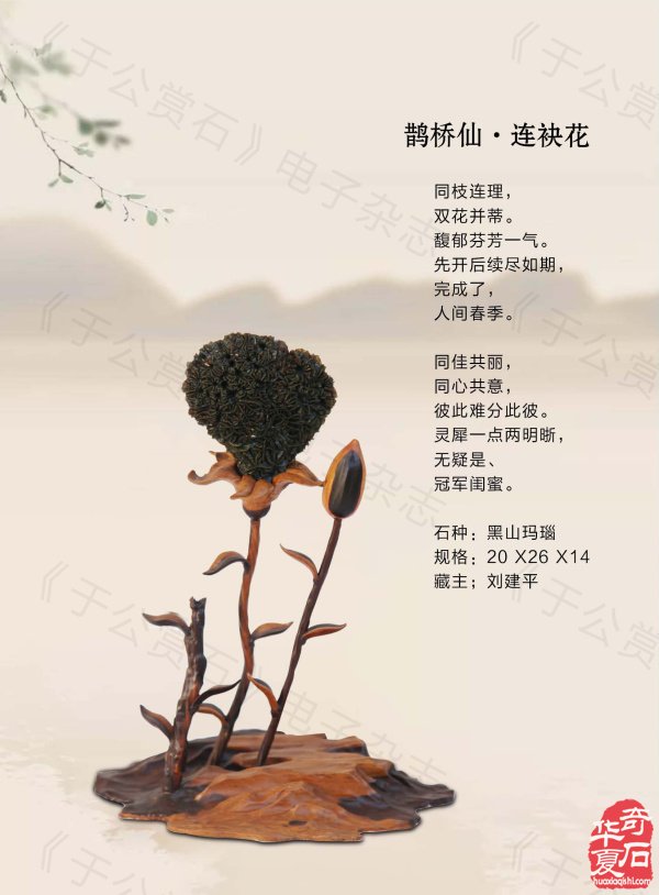 《于公赏石》带你领略藏家的美石 图