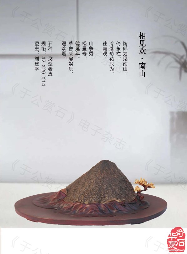 《于公赏石》带你领略藏家的美石 图
