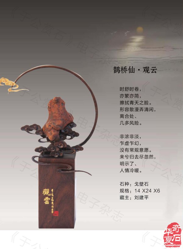 《于公赏石》带你领略藏家的美石 图