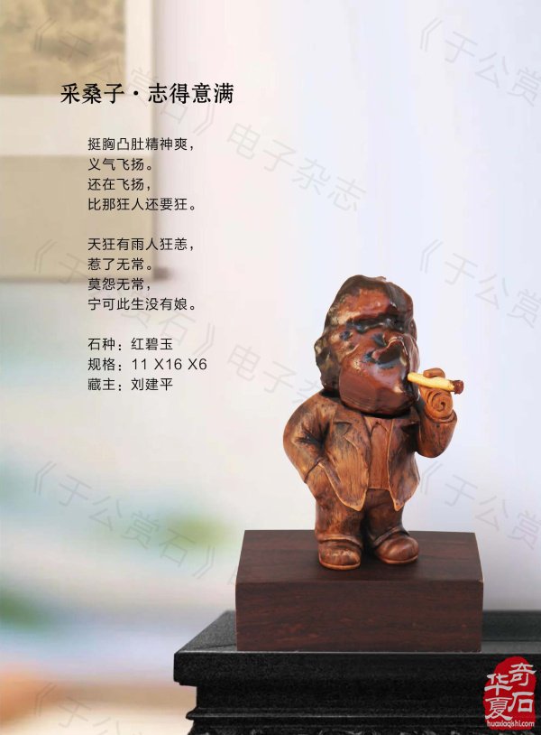 《于公赏石》带你领略藏家的美石 图