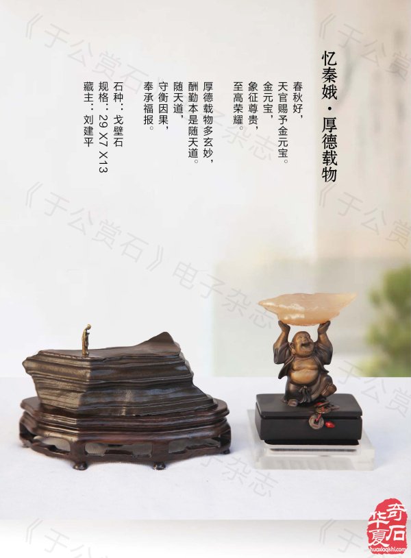 《于公赏石》带你领略藏家的美石 图