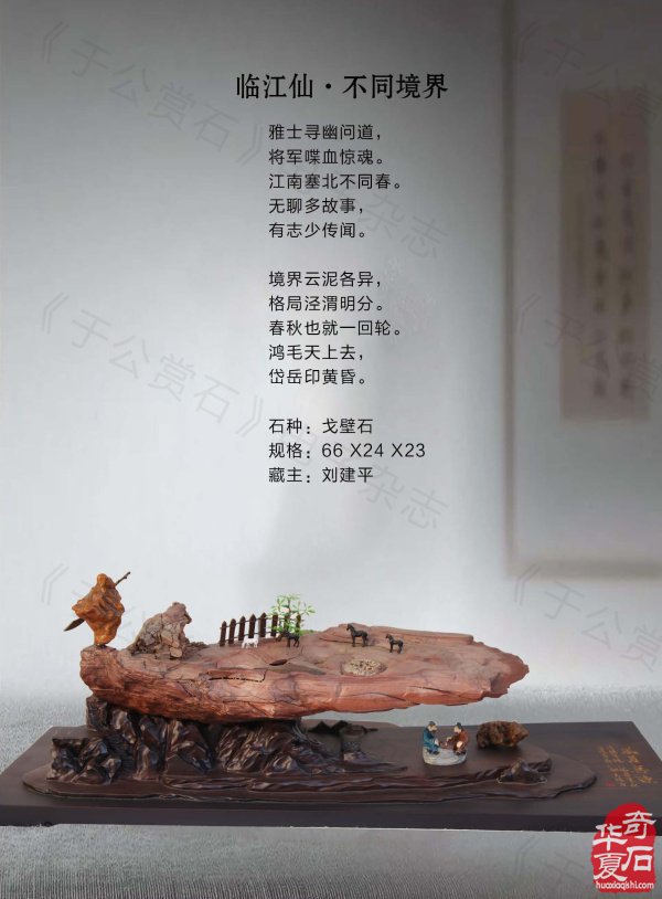 《于公赏石》带你领略藏家的美石 图