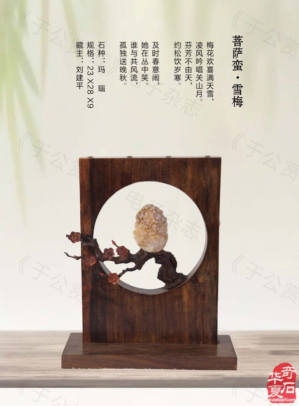 《于公赏石》带你领略藏家的美石 图