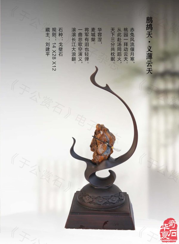 《于公赏石》带你领略藏家的美石 图