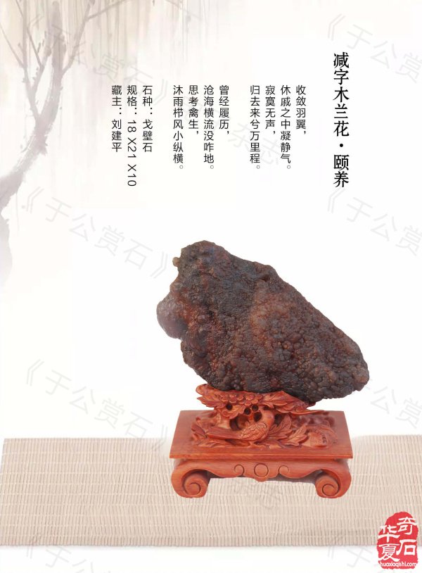 《于公赏石》带你领略藏家的美石 图