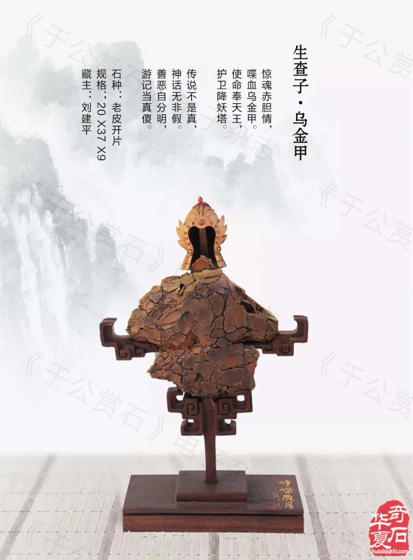 《于公赏石》带你领略藏家的美石 图
