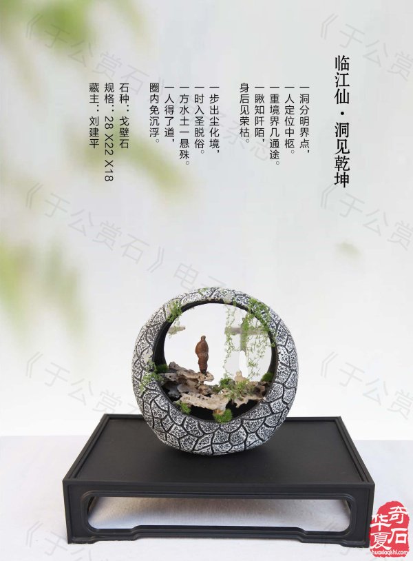 《于公赏石》带你领略藏家的美石 图