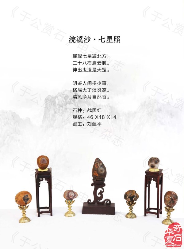 《于公赏石》带你领略藏家的美石 图