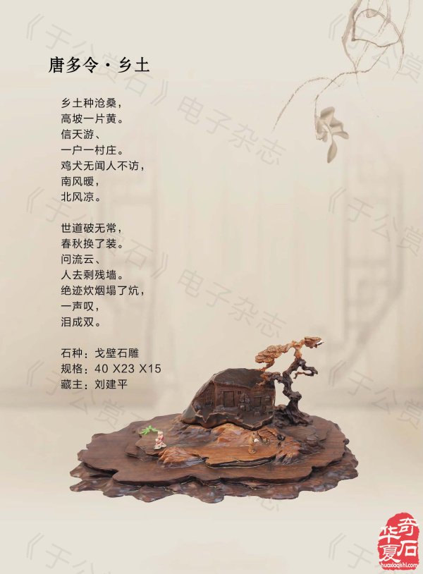 《于公赏石》带你领略藏家的美石 图