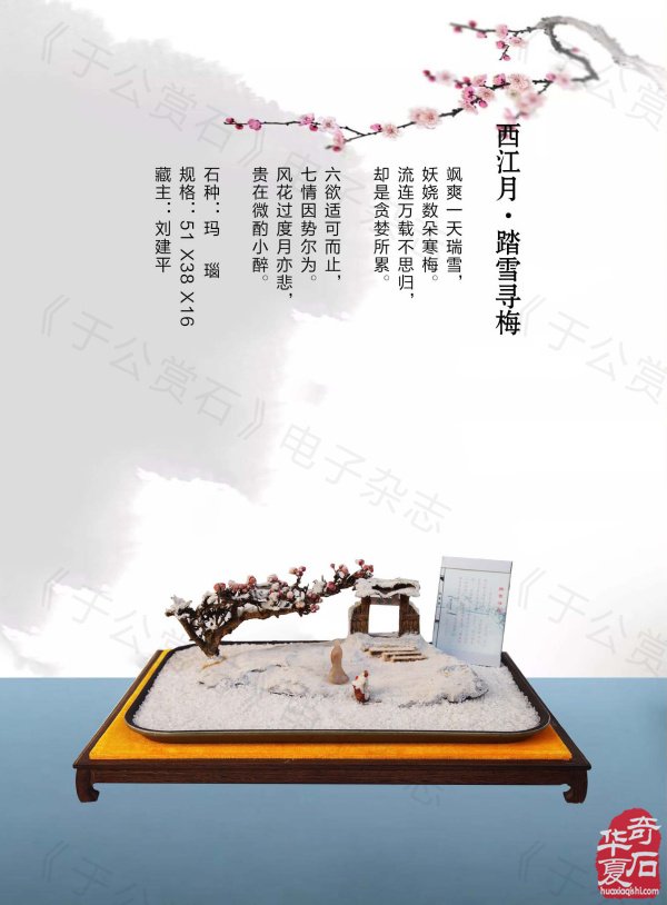 《于公赏石》带你领略藏家的美石 图