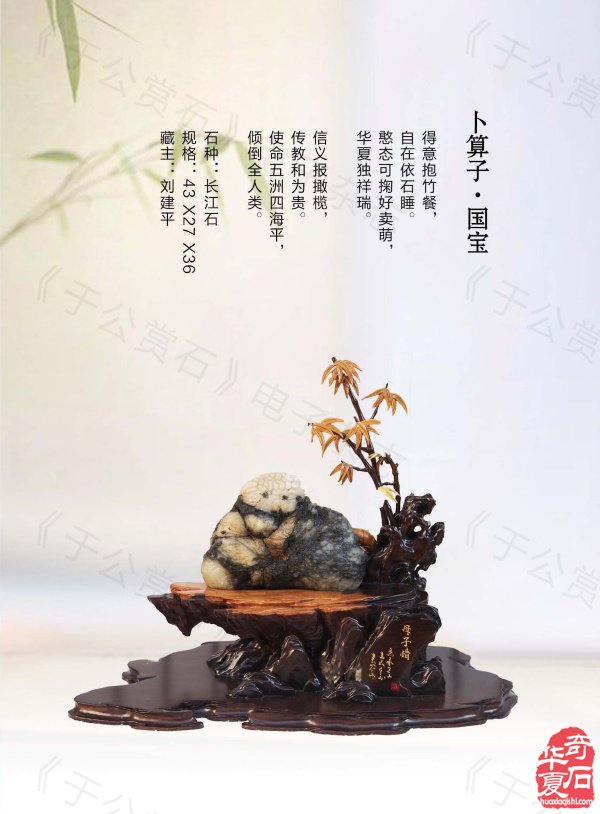 《于公赏石》带你领略藏家的美石 图