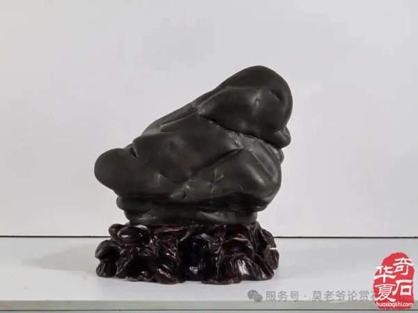 “三开一展”嗨翻天！贵州中深邀您共赴赏石文化盛宴 