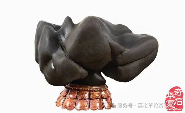 “三开一展”嗨翻天！贵州中深邀您共赴赏石文化盛宴 