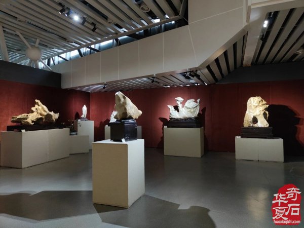 【邀请函】相约“石都”柳州，柳州海川（海纳百川）首届奇石博览会与您共欢！