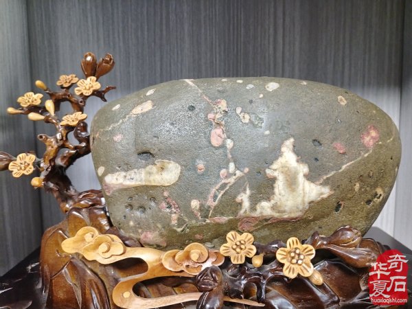 伊川【石友之家】共享石馆正式启动