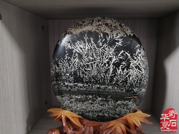 伊川【石友之家】共享石馆正式启动