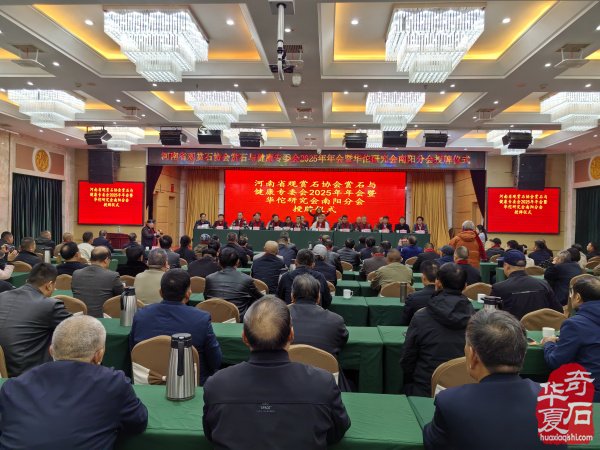 河南省观赏石协会赏石与健康高峰论坛