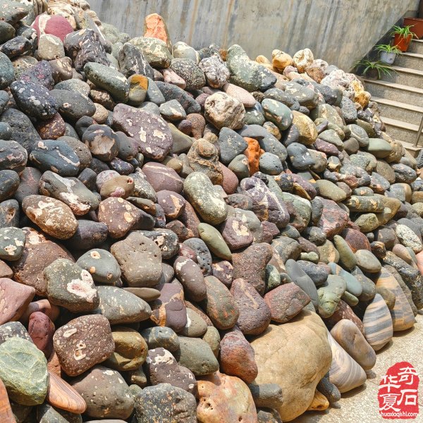 洛阳精美的《伊河石种知多少?》