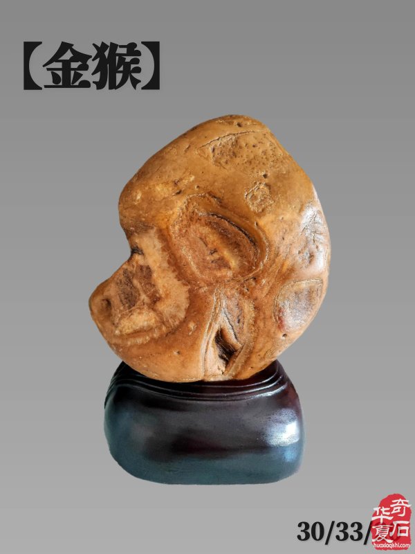 洛阳精美的《伊河石种知多少?》