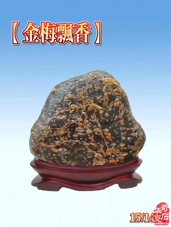 洛阳精美的《伊河石种知多少?》