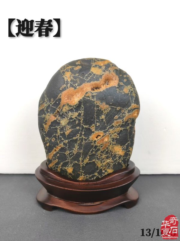 洛阳精美的《伊河石种知多少?》