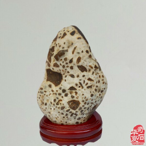 洛阳精美的《伊河石种知多少?》