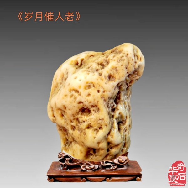 九九重阳,与“奇石老人”一起过节