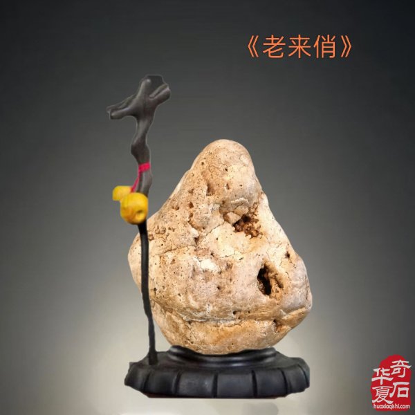 九九重阳,与“奇石老人”一起过节