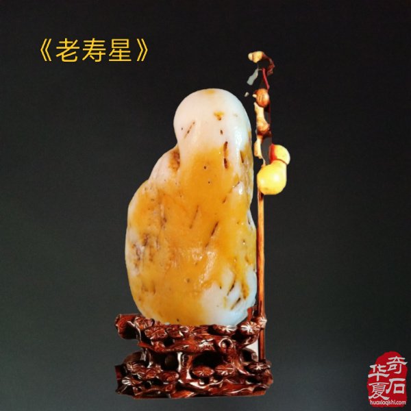 九九重阳,与“奇石老人”一起过节