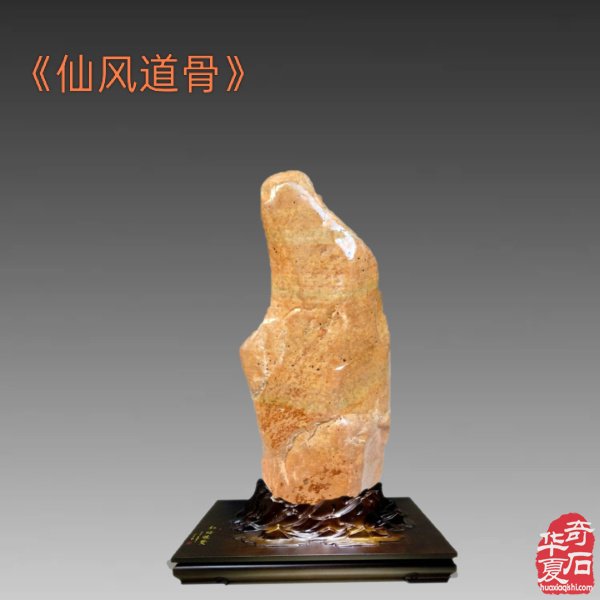 九九重阳,与“奇石老人”一起过节