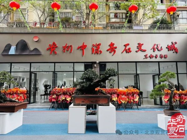 贵州中深“三开一展”活动隆重热烈不同凡响