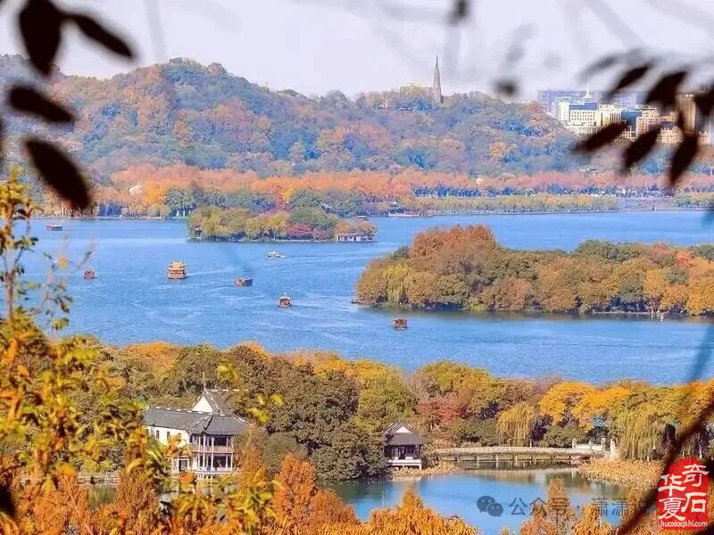 10月28日我们相约杭州《中国花木城》