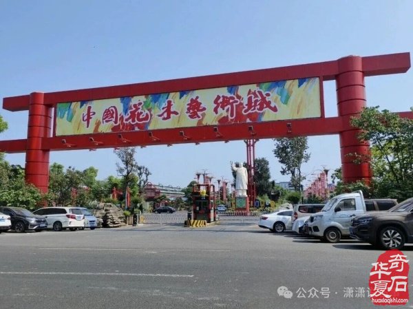 10月28日我们相约杭州《中国花木城》