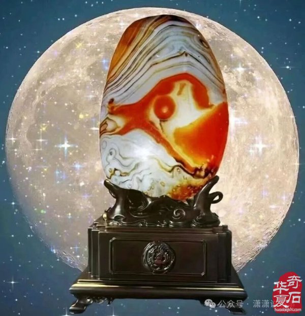 10月28日我们相约杭州《中国花木城》