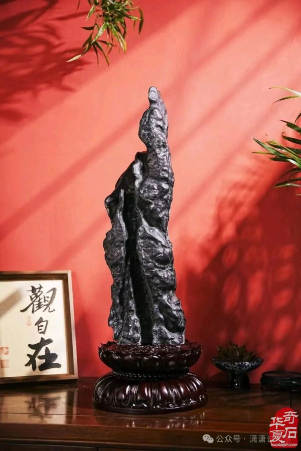 10月28日我们相约杭州《中国花木城》