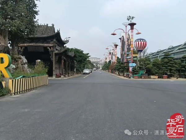 10月28日我们相约杭州《中国花木城》
