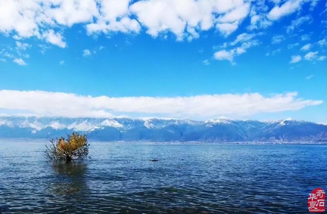 中国大理第四届赏石博览会暨第五届金沙江赏石文化论坛会邀请函